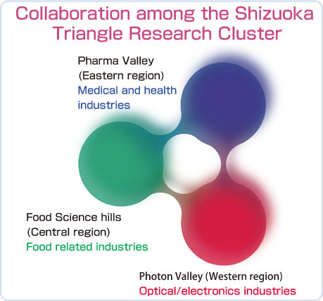 Collaboration among the Shizuoka Triangle Research Cluster