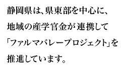 プロジェクトに関わる各種のワンストップサービスを県庁と一体で提供